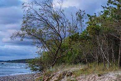 巴黎奥运开幕式走上街头与河畔，巴黎奥运会表演