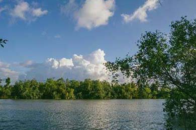 巴黎奥运开幕式走上街头与河畔，巴黎奥运会表演