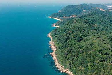 巴黎奥运开幕式走上街头与河畔，巴黎奥运会表演