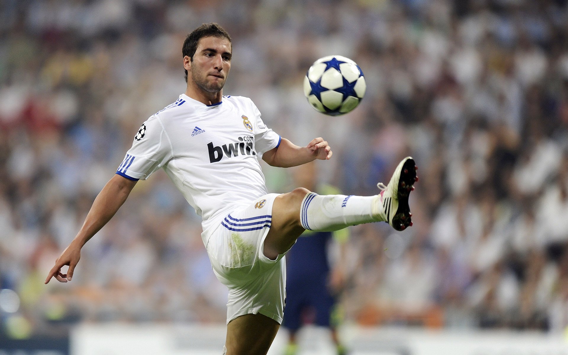 弗朗索瓦·斯图尔特：南非队的稳定剂，凭借丰富经验领军进攻与防守